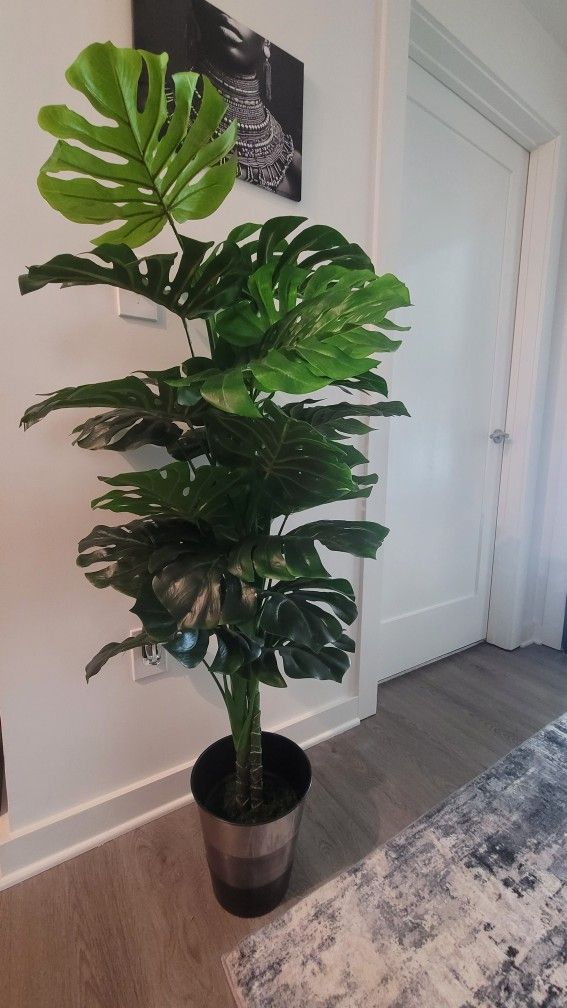 47" Tall Lifelike Monstera Plant