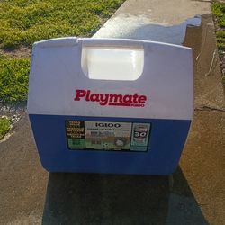 Playmate ice chest