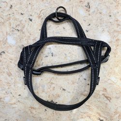 Boots And Barkley Harness