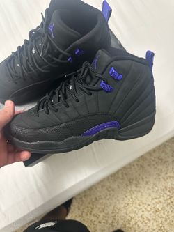 Air Jordan retro 12