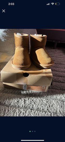 Ugg Koala