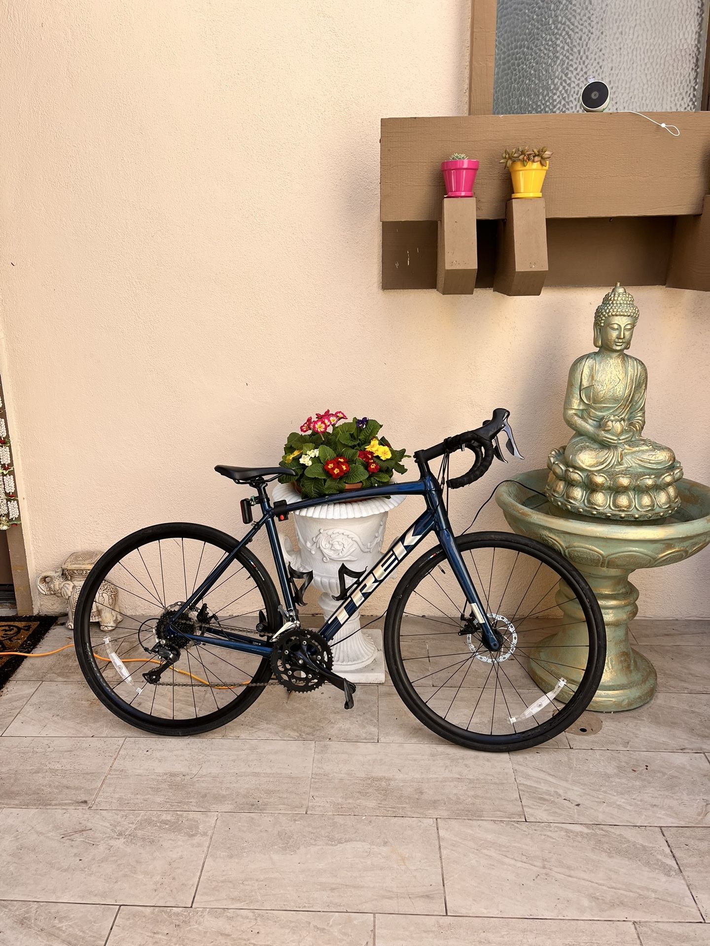 Trek Road Bike