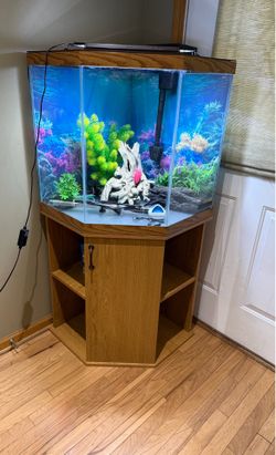 Corner fish tank and stand