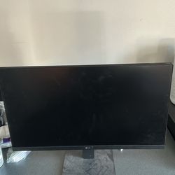 Lg 24in Monitor With Speakers