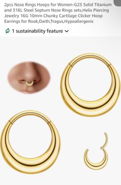 2 pc Nose Ring Hoops