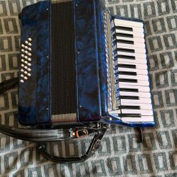 Rossetti Accordion Blue 