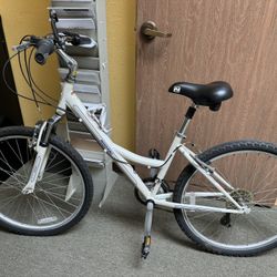 Nishiki Hybrid Bike 