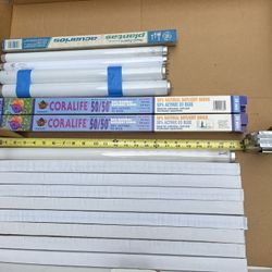 Tropical Fish Tank Items