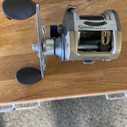 Quantum Cabo Pts CBC 20PTS