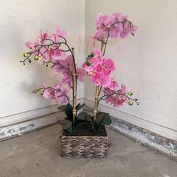 Home Decor Orchid Plant with basket weave