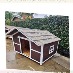 Outdoor Pet Houses - Reliable Homes for Cheerful Pets baby start