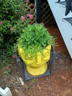 Potted Concrete Pots With Flowers