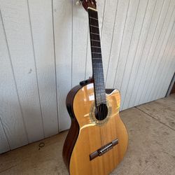 Mitchell Acoustic Guitar