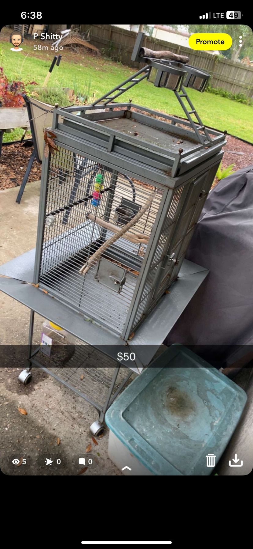Bird Cage
