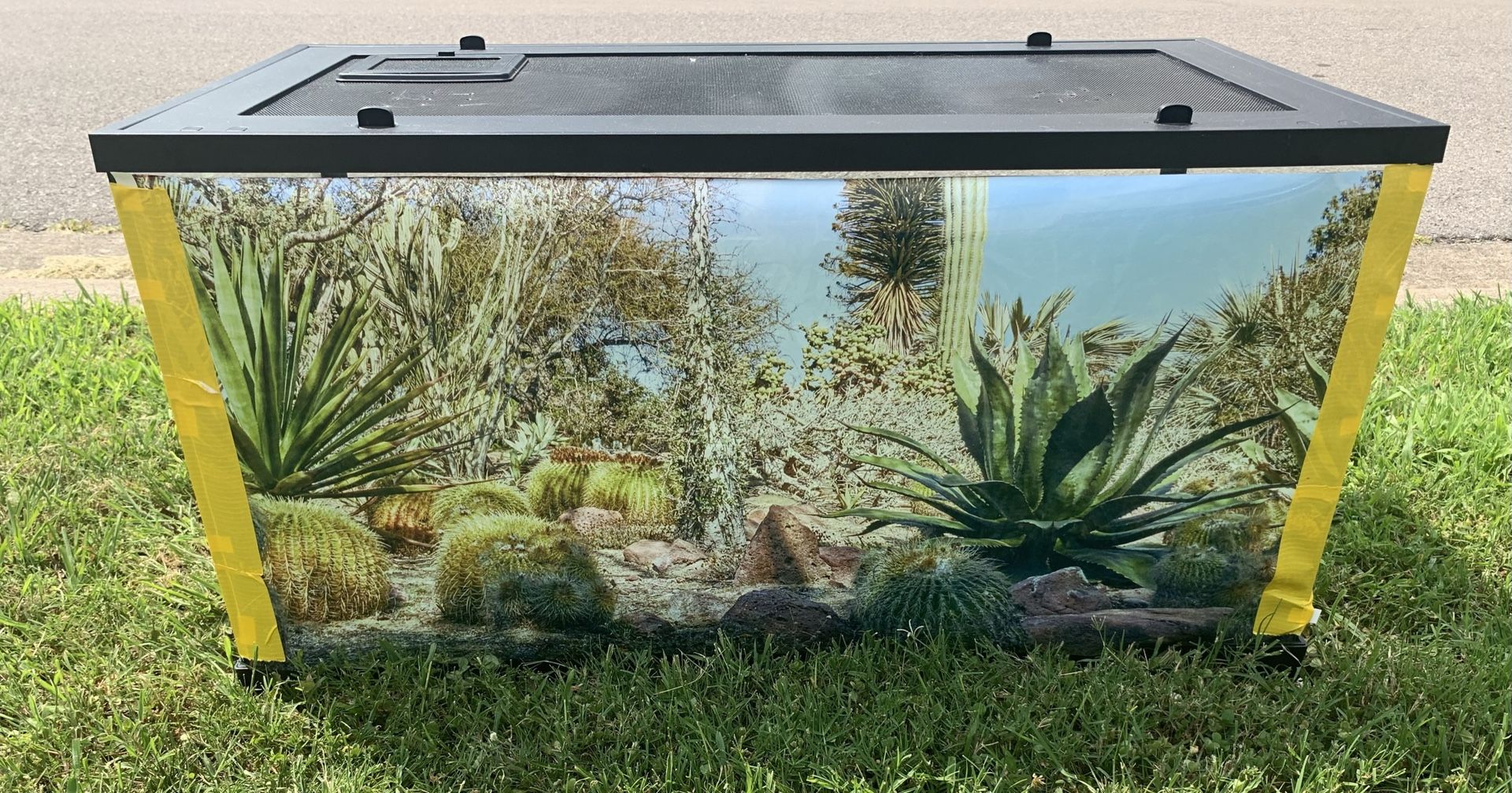 40 Gallon Reptile Tank ONLY! Front Doors That Lock