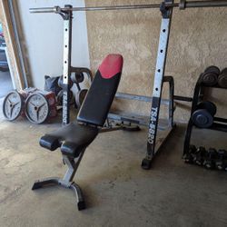 Bench Press And Bowflex Workout Bench (weights And Bar Not Included)