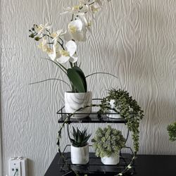 Marble Decor $15 (plants Not Included) 