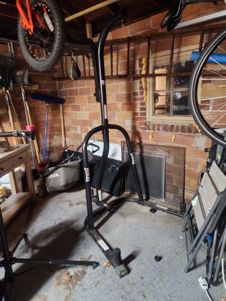 Everlast Powercore Dual Bag and Stand.