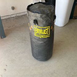 Punching Bag