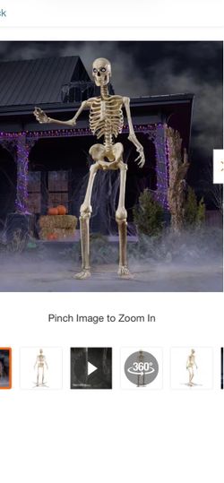 12 ft Giant-Sized skeleton with LifeEyes LCD Eyes