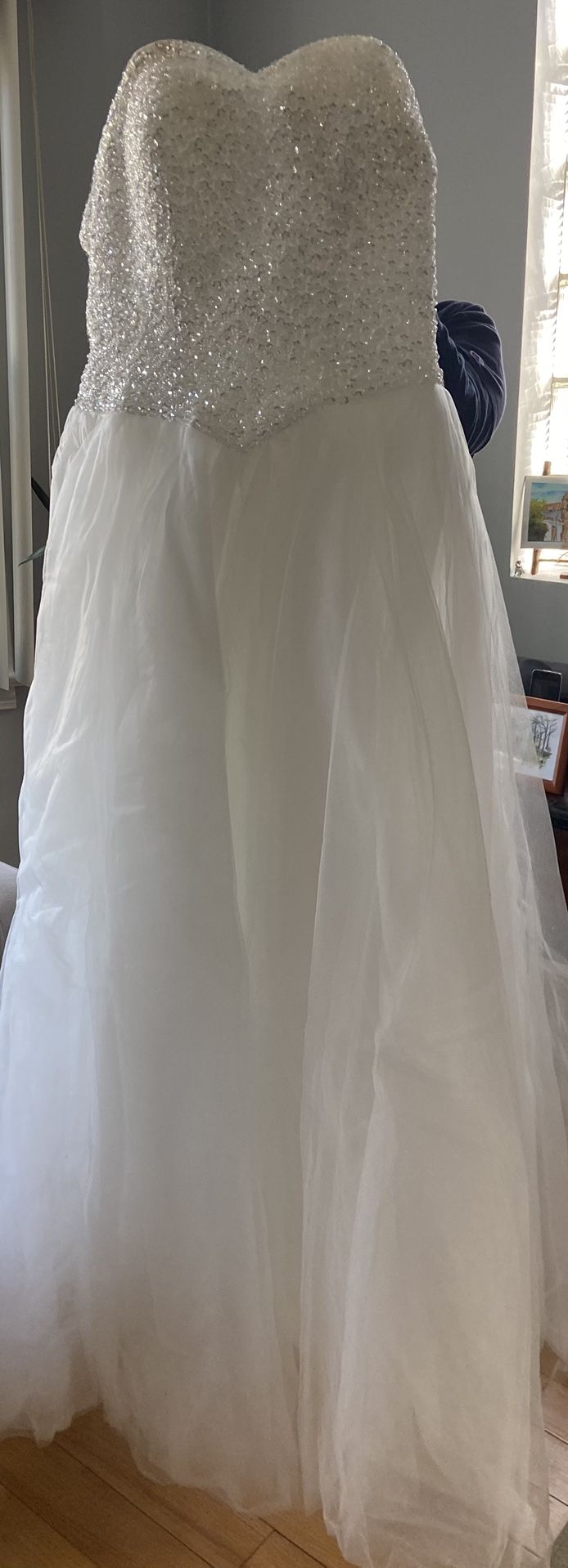 Wedding or QuinceaƱera Dress