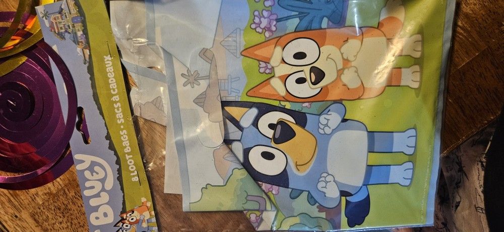 Bluey Party