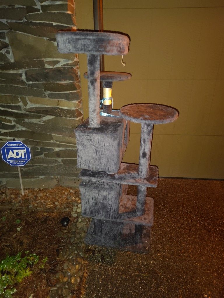Free Cat Tower
