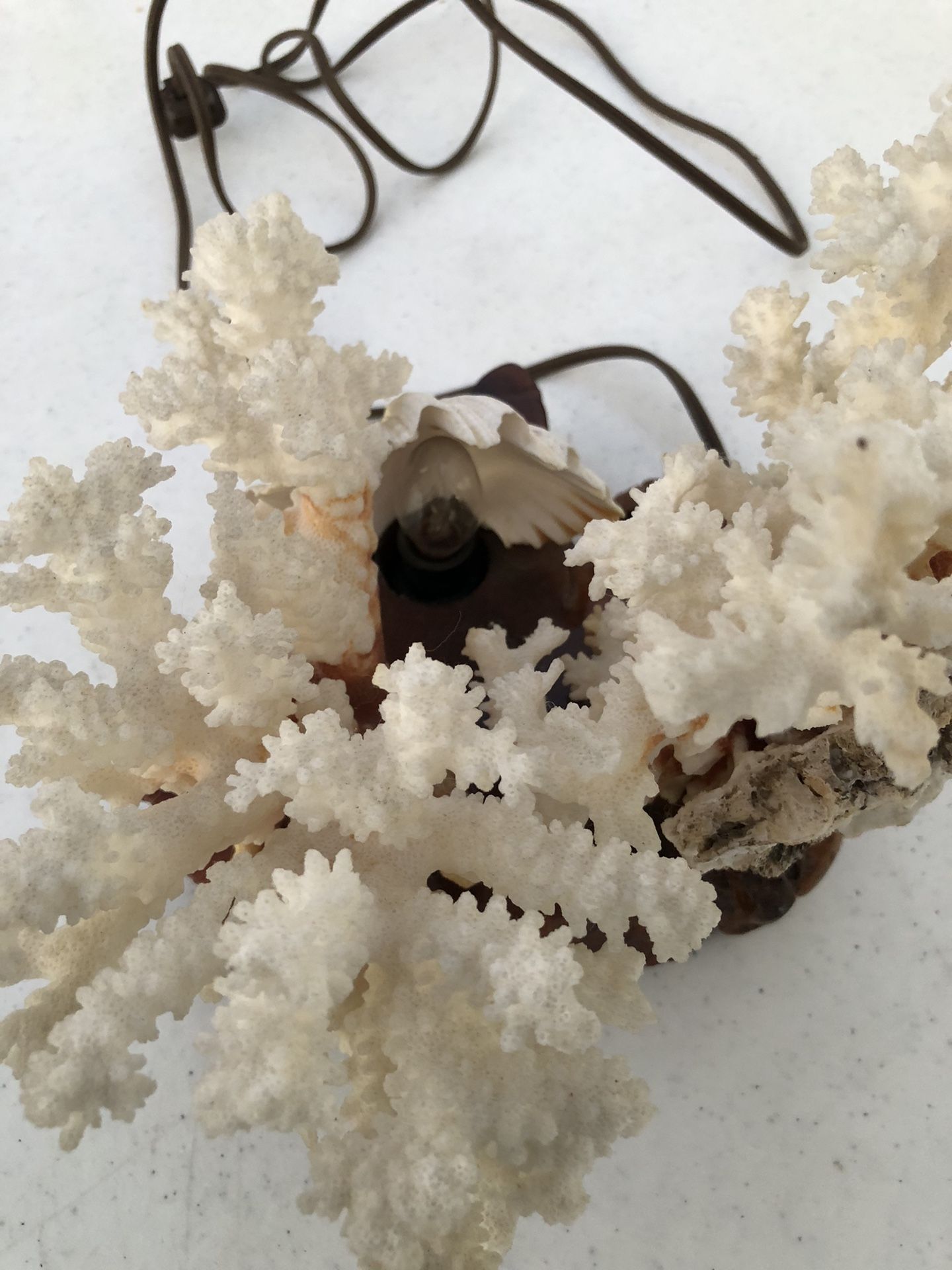 Vintage White Coral Television Lamp  Lighting