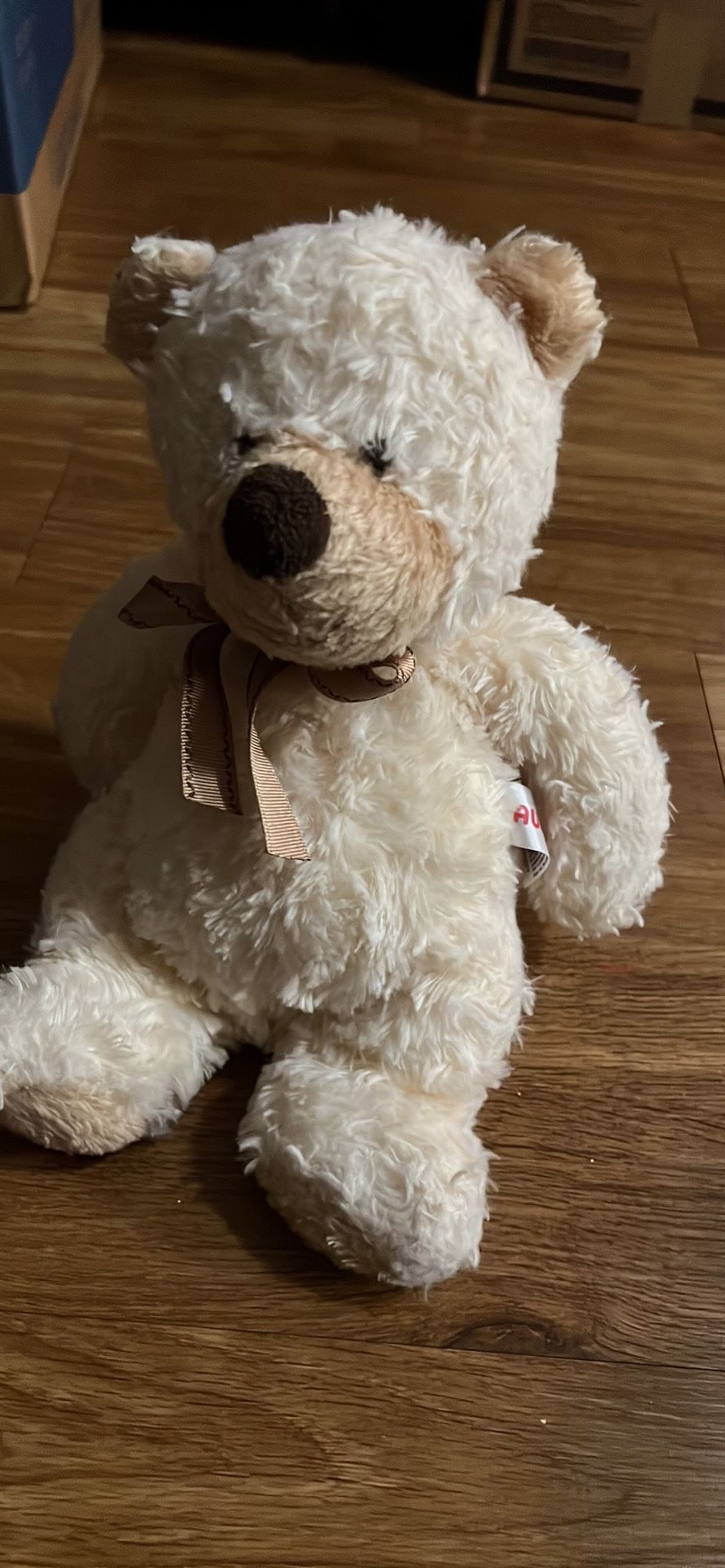 Beige Stuffed Animal Bear