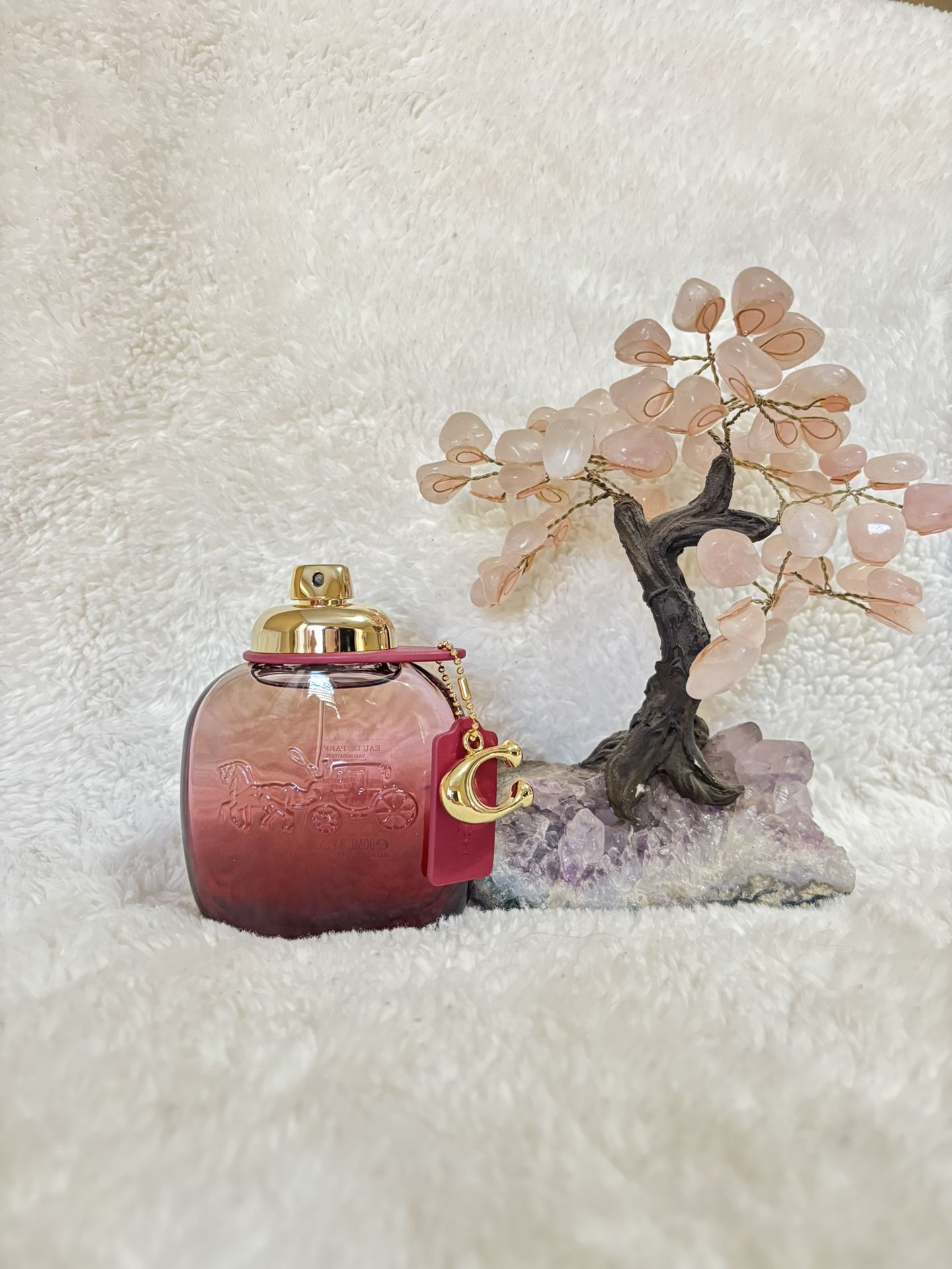 Coach Wild Rose EDP