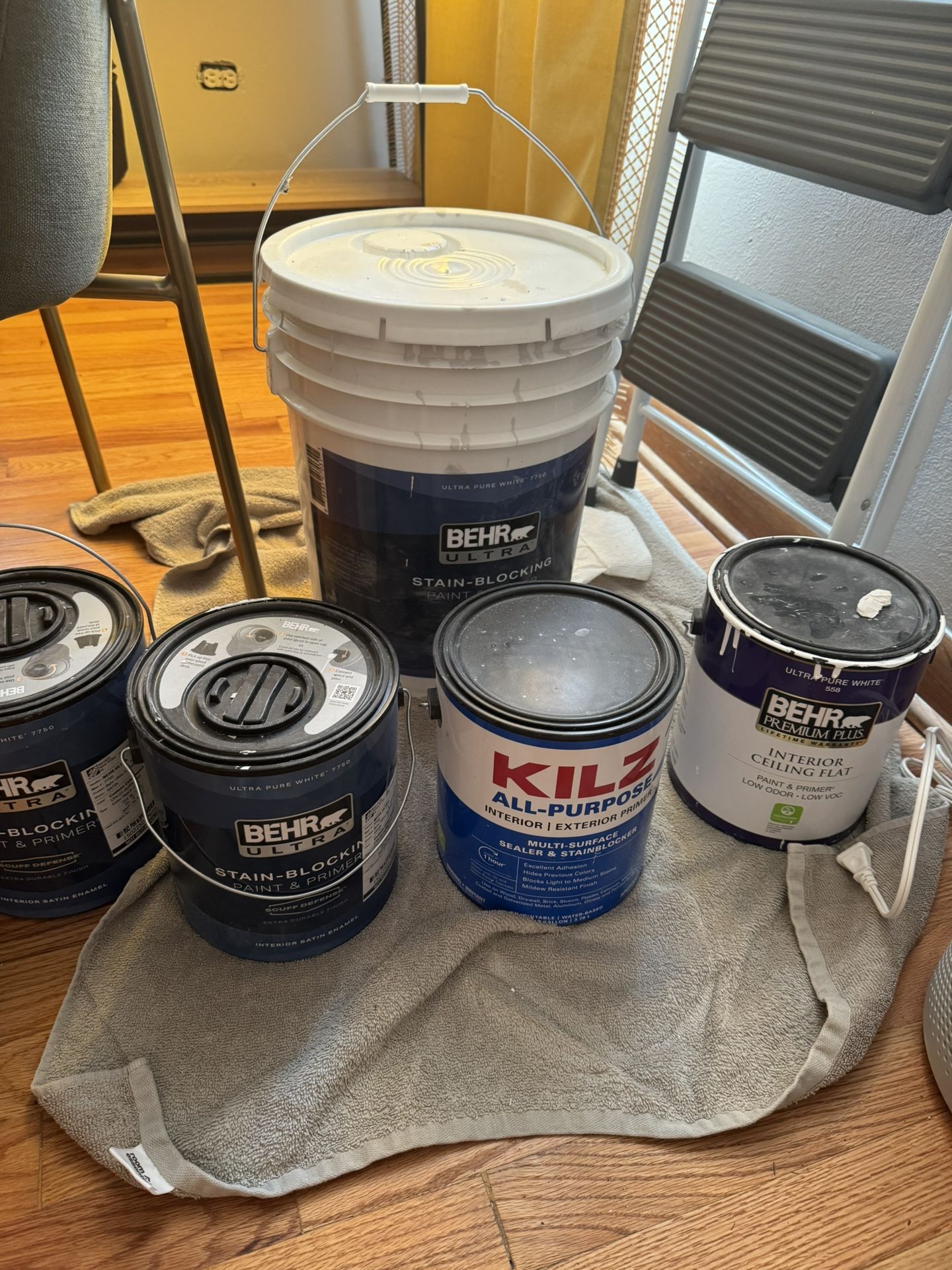 White Paint & Primer (Soft Dimensional White)