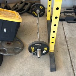 Olympic Curl Bar 2 Inch With 2 Golds Gym Plate Weights