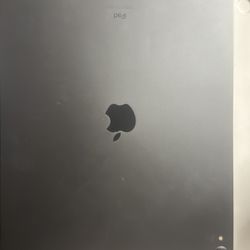 iPad Pro 12.9 Inch 