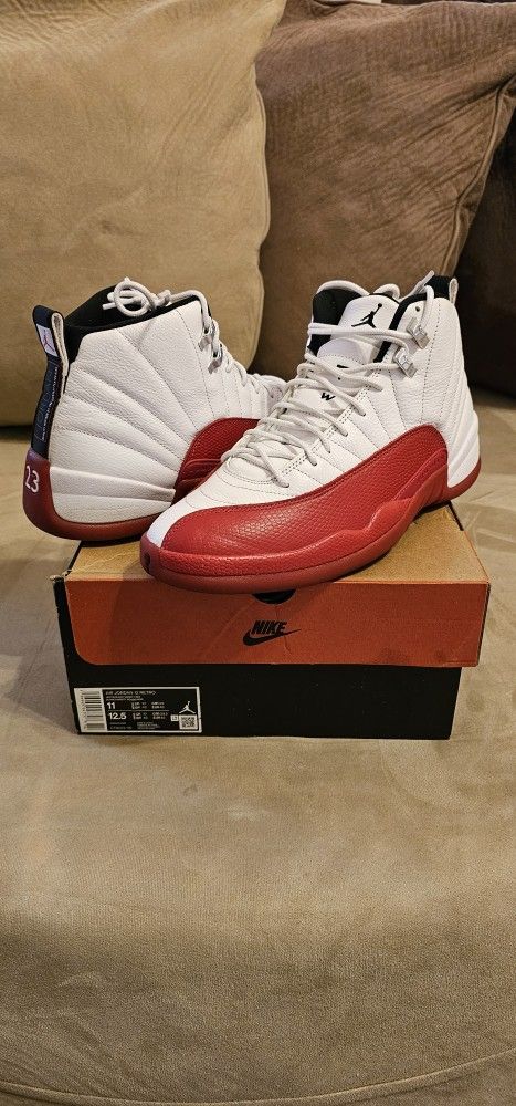 Jordan Retro 12 Cherry DMP Gratitude 5 Maniere Dusk Military Cement OG  Black Kobe Bred Grinch Chicago Blue Playoff 1 3 4 5 6 7 8 13 11 13 Reverse DB
