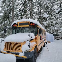 2005 International School Bus