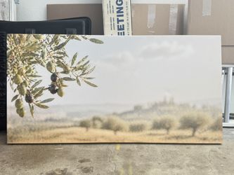 Large Olive Tree Canvas Wall Art