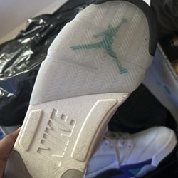 Jordan Grape 5’s