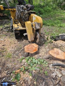 Stump Grinding 