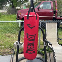 Punching Bag