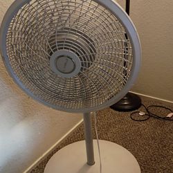 Fan 