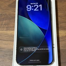 iPhone 16 Pro Max 1TB