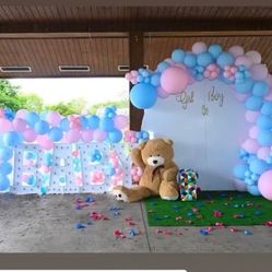 Gender Reveal 