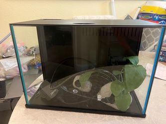 Glass Aquarium Tank with Lid and Accessories
