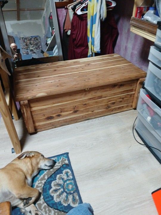 Cedar Chest Very Heavy Very Solid Great Shape And Sanded Down