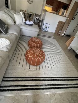 Area Rug 6'7 x 9