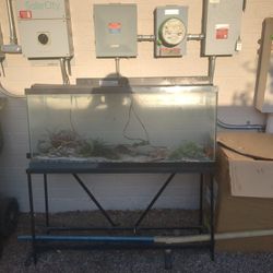 Fish Tank 60 Gallon 