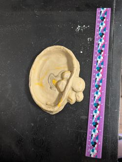 Reptile Food/Water Dish