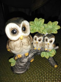 Mom owl with bby owls