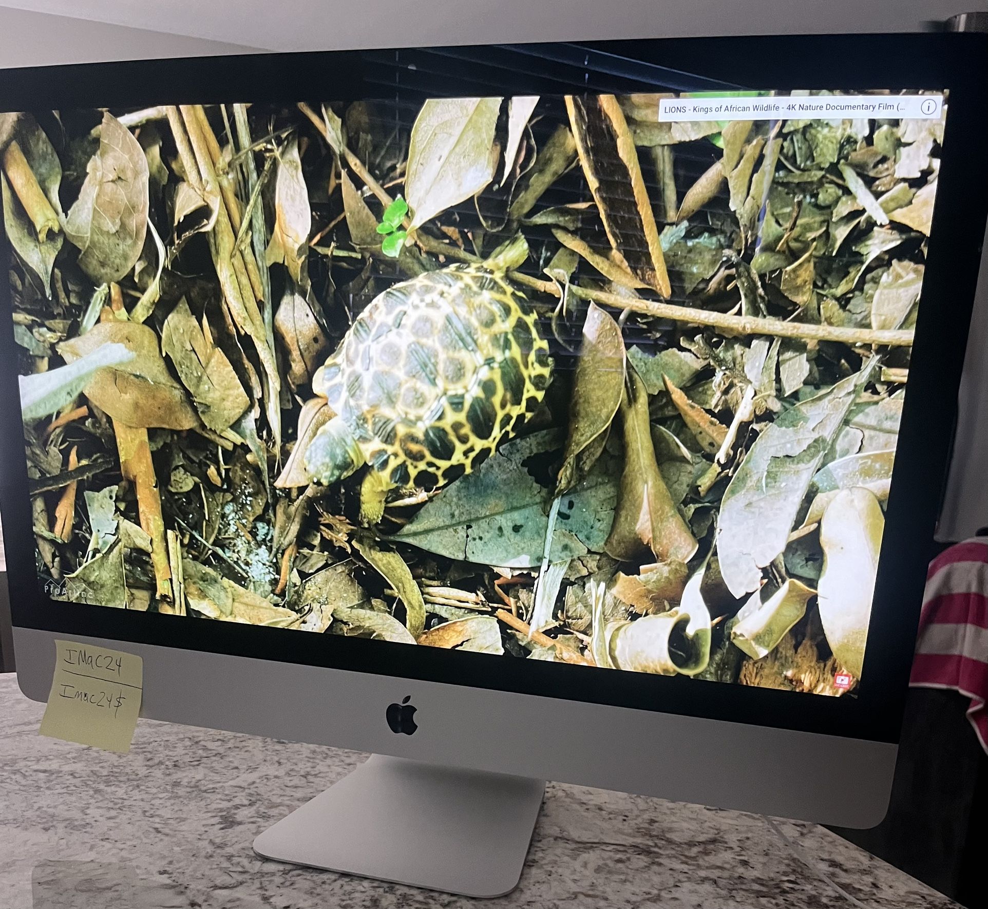 Apple iMac -27” 5 K Retina (2017 Release) -Used Apple ModelA1419