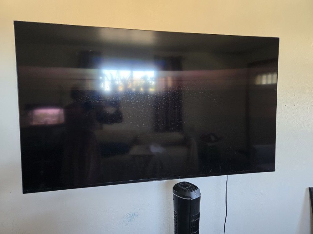 65in Sony TV